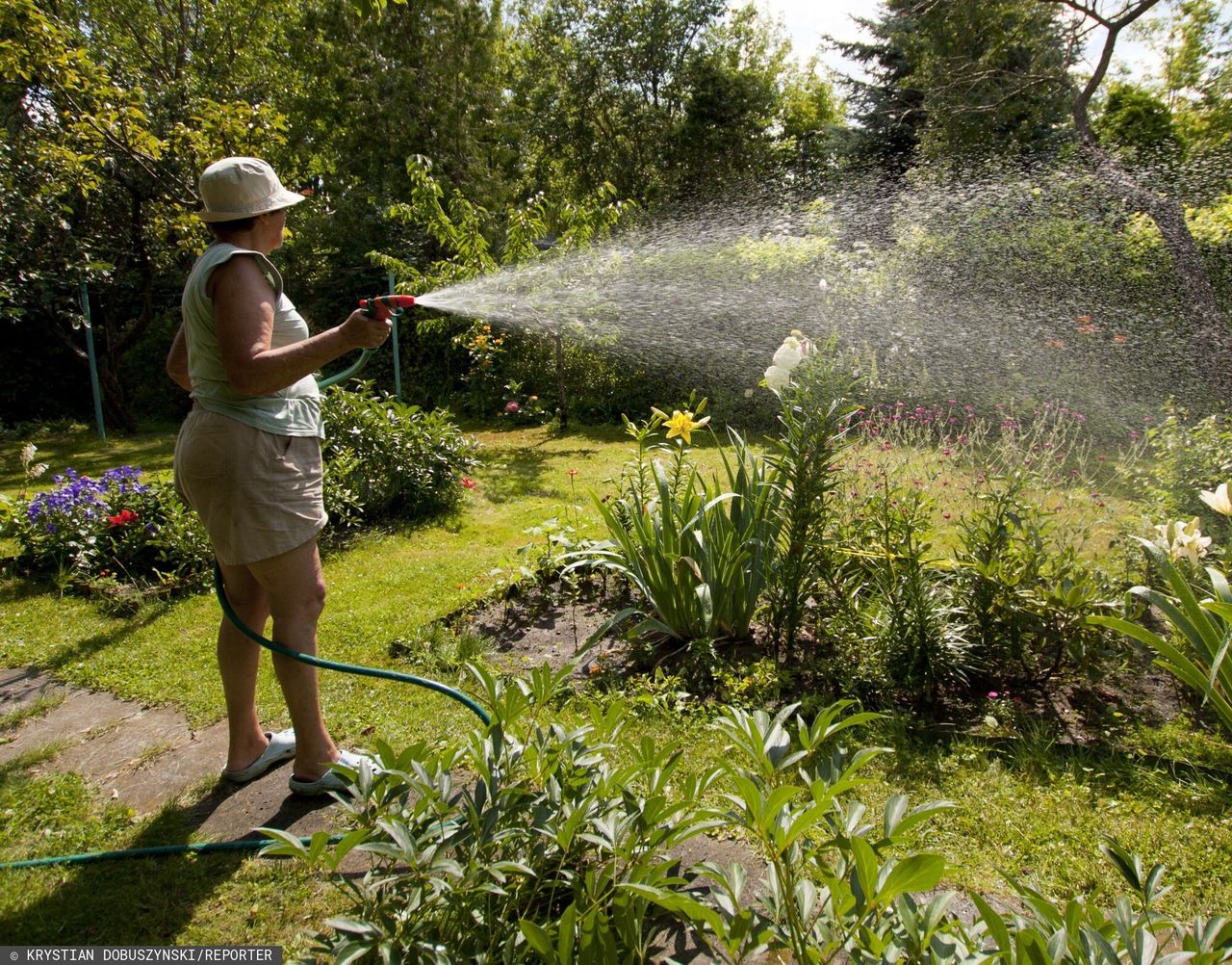 Wlepiają mandaty na potęgę. Wielu nie wie, że narusza przepis