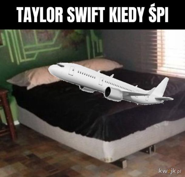 Memy o Taylor Swift (internet)