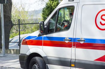 5-latek nie żyje. Przygniótł go konar. Prokuratura bada sprawę