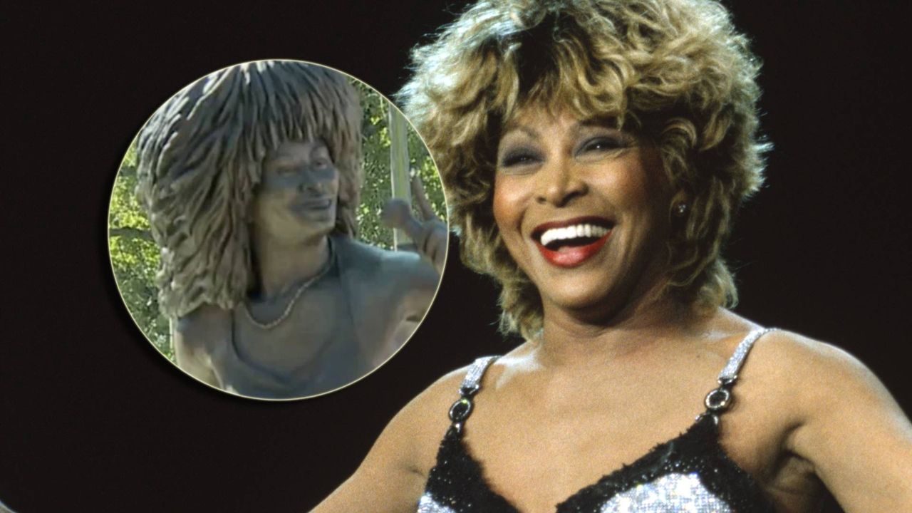 Tina Turner ma swój własny pomnik. W mig wywołał falę oburzenia: "ODDAJCIE pieniądze darczyńcom"