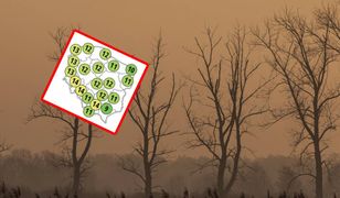 Nawet 14 stopni na termometrach. Idzie ocieplenie