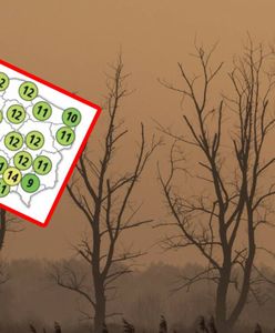 Nawet 14 stopni na termometrach. Idzie ocieplenie