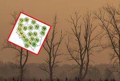 Nawet 14 stopni na termometrach. Idzie ocieplenie