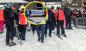 Pies na trasie. Doszło do dramatu. Lądował śmigłowiec LPR