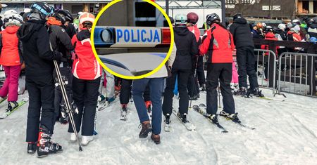 Pies na trasie. Doszło do dramatu. Lądował śmigłowiec LPR