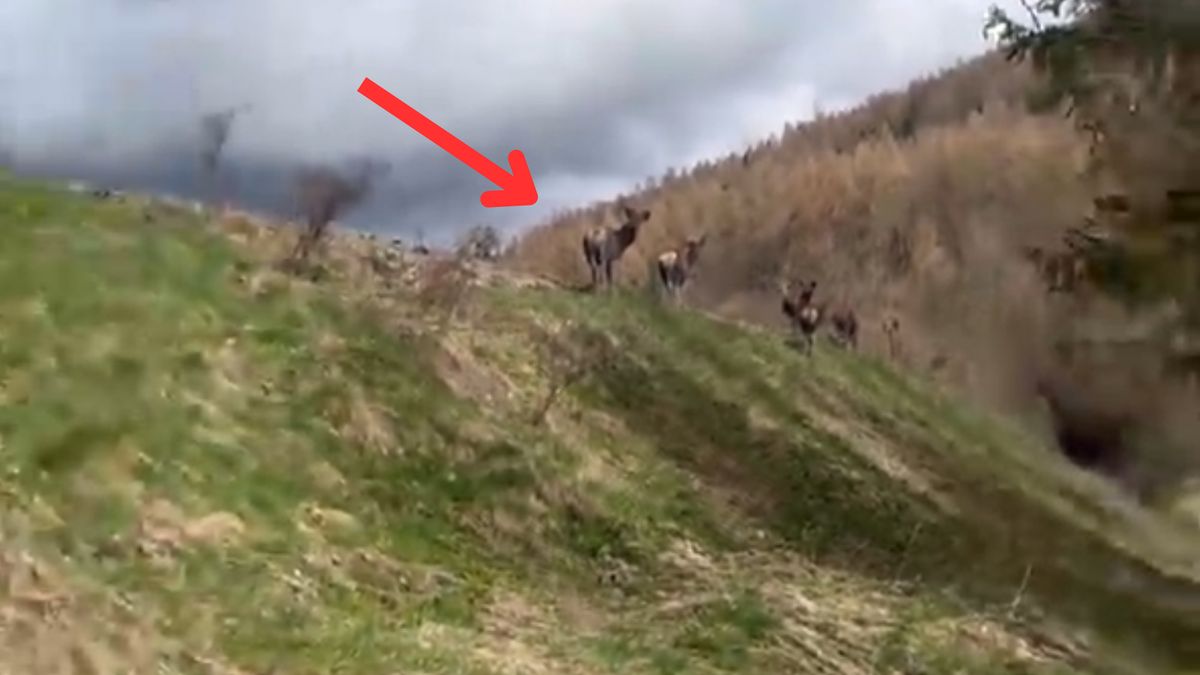 Komitet powitalny w bramie Bieszczad.