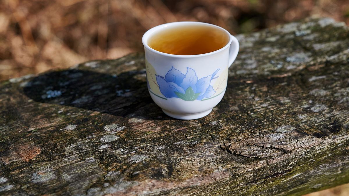 Przynosi ulgę wątrobie i wspomaga leczenie nowotworów. Naturalne wsparcie zdrowia