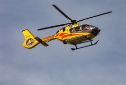 Wypadek przy wycince drzew. Nie żyje mężczyzna