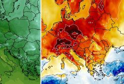 Powiew wiosny już wkrótce. Będzie zaskoczenie na termometrach