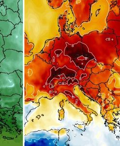 Powiew wiosny już wkrótce. Będzie zaskoczenie na termometrach