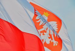 Złamanie ciszy wyborczej i nieprawidłowości – jak zgłaszać?