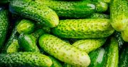 Szybki sposób na ogórki małosolne. Nie potrzebujesz zalewy