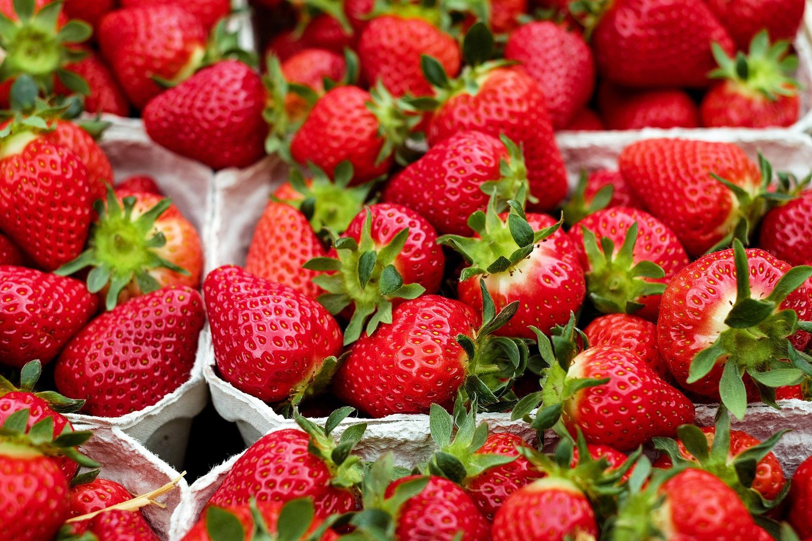 Nawet 30 zł/kg i może być drożej. Ceny truskawek zwalają z nóg