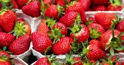 Nawet 30 zł/kg i może być drożej. Ceny truskawek zwalają z nóg