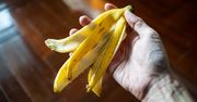 Co zrobić ze skórki banana? Rozwiąż krzyżówkę i sprawdź, czy wiesz