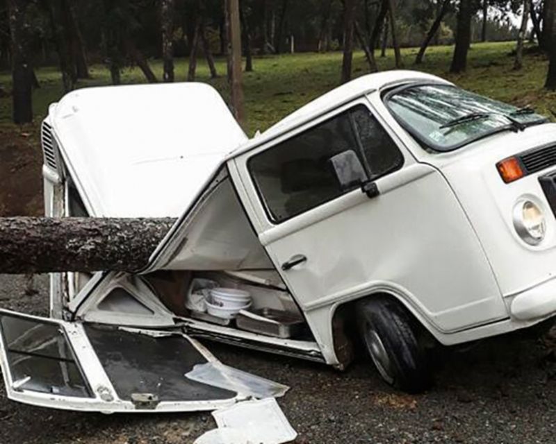 Drzewo zmiażdżyło volkswagena T2. Późniejszy wyczyn auta jest dowodem niezniszczalności starych konstrukcji