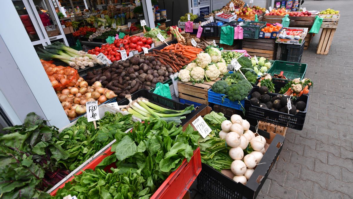 Rynek
Szczecin, 11.10.2019.  Sprzeda� warzyw i owoc�w na rynku. (mb/awol)  PAP/Marcin Bielecki
Marcin Bielecki
bazar, broku�, buraki, cebula, handel, kalafior, owoce, rynek, rzepa, sprzeda�, warzywa