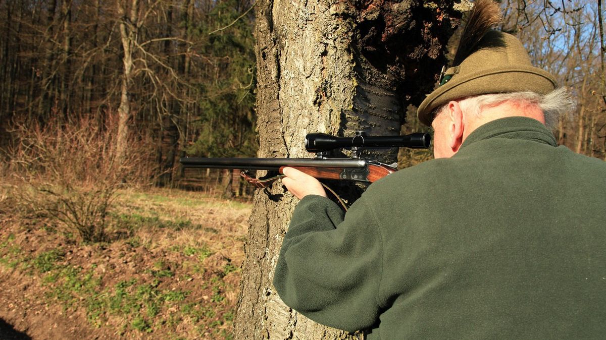 Myśliwy zastrzelił psa. Zdjęcie ilustracyjne. 