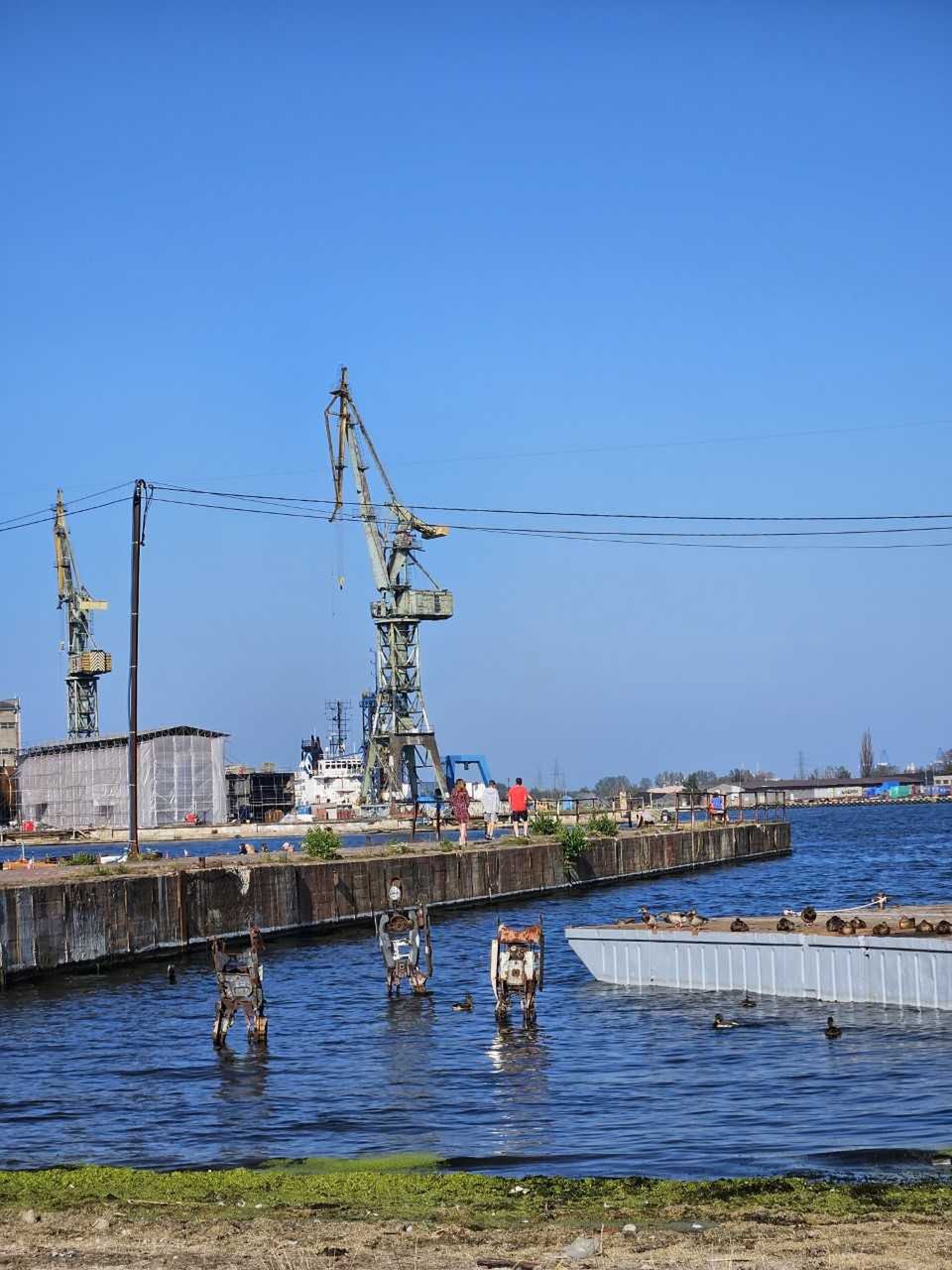 Charakterystyczne dźwigi stoczniowe to symbol Gdańska. Wejście na jeden z nich to obowiązkowy punkt programu zwiedzania terenów postoczniowych