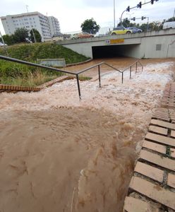 Potężna awaria wodociągowa w Poznaniu. Ruch tramwajowy wznowiono, ale zniszczenia są duże
