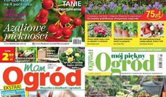 „Działkowiec” liderem w styczniu, „Mam Ogród” wyprzedził „Przepis na Ogród”