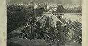 Warszawska "fabryka kwiatów". Tak działał zakład Ulrichów w XIX wieku