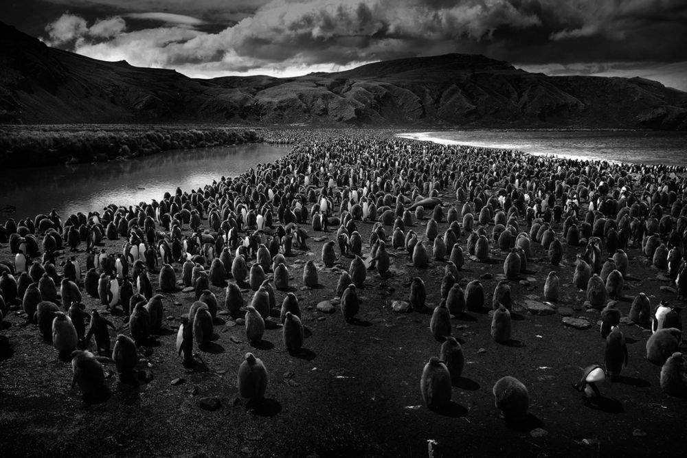 Polacy wśród wyróżnionych w konkursie International Photography Awards 2015 6