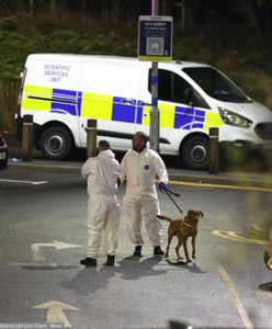 Atak w pociągu w Wielkiej Brytanii. 32-latek usłyszał dziesięć zarzutów