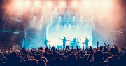 Popularni muzycy i zespoły. Sprawdź w tej krzyżówce, jak dobrze je znasz