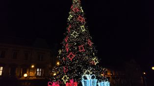 Bielsko-Biała: Choinka na placu Chrobrego rozbłyśnie szóstego grudnia