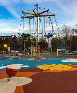 Wrocław. WBO 2020 - rekordowa ilość głosujących. Zieleń górą