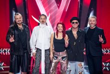 Trenerzy 16. edycji "The Voice of Poland" 