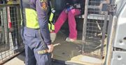 Warszawa: Zniknęła i nie wróciła do domu. Odnaleziono ją przypadkiem