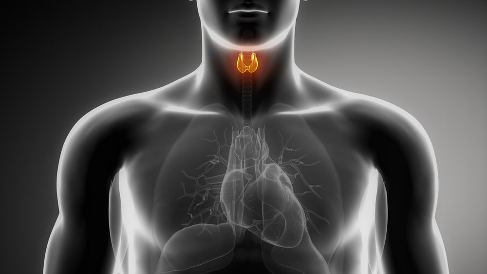 Objawy chorób tarczycy