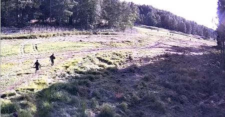 Alarm na granicy. Wtargnęli do Polski