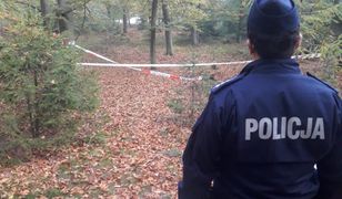 Tarnowskie Góry. Groźne znalezisko grzybiarza. Natychmiast wezwał policję