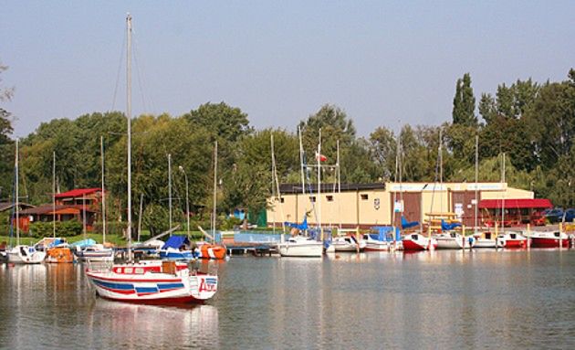 Obraz