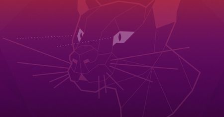 Ubuntu 20.04 LTS otrzyma zmodyfikowany menedżer oprogramowania – paczkę snap