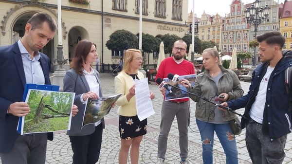 Wrocław. Las Pilczycki zaledwie 8 kilometrów od centrum. Chrońmy skarb natury. Aktywiści apelują do władz miasta i do lasów państwowych