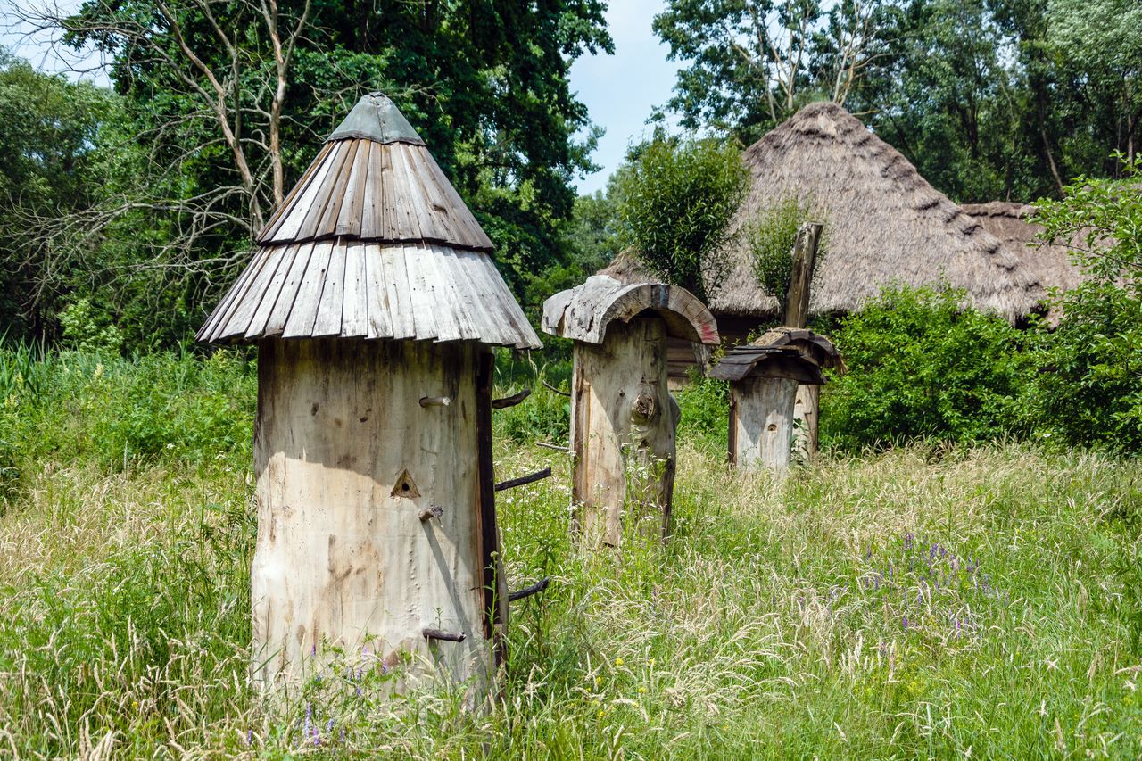 Nowy Sącz: Skansen zyska nowy zabytkowy budynek. To dwór z Wielogłów