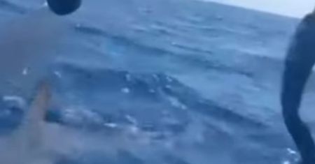 Turysta płynął kajakiem. Rekin zbliżył się niepokojąco blisko