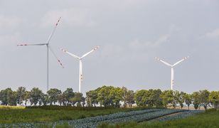 Energetyka bez papieru. Klienci Taurona żegnają się z klasycznymi dokumentami