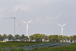 Energetyka bez papieru. Klienci Taurona żegnają się z klasycznymi dokumentami