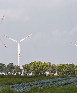 Energetyka bez papieru. Klienci Taurona żegnają się z klasycznymi dokumentami