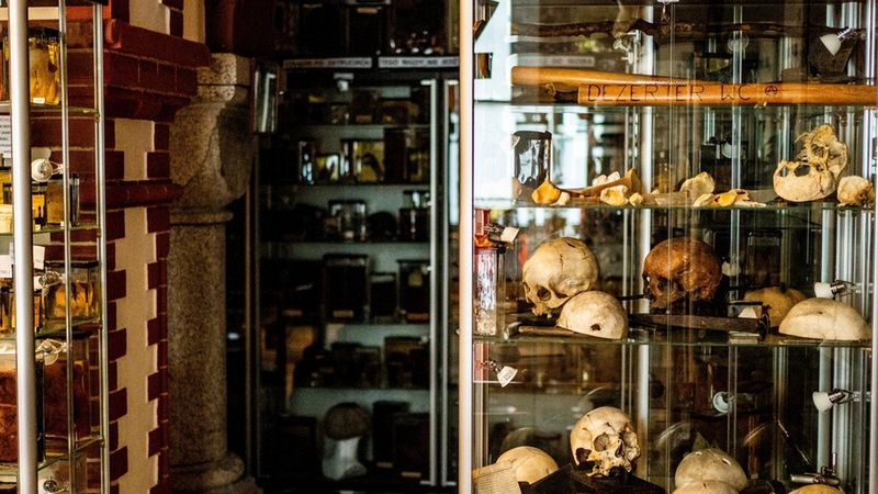 Wrocławskie muzeum ma niezwykłe zbiory