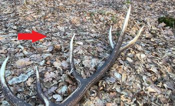 Zaczęło się na dobre. "Lasy patrolują strażnicy"