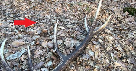 Zaczęło się na dobre. "Lasy patrolują strażnicy"