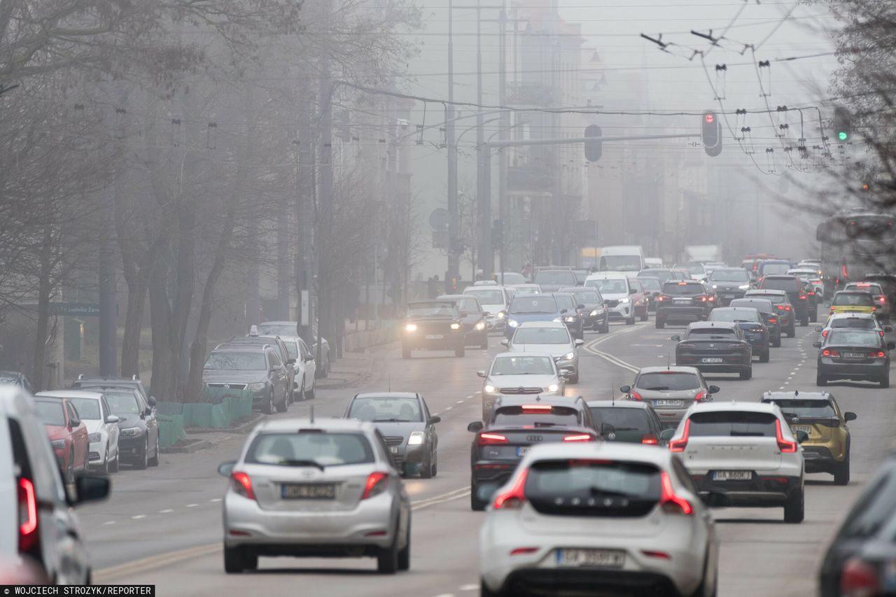 Kupno używanego auta. Handlarz o zamawianiu raportów