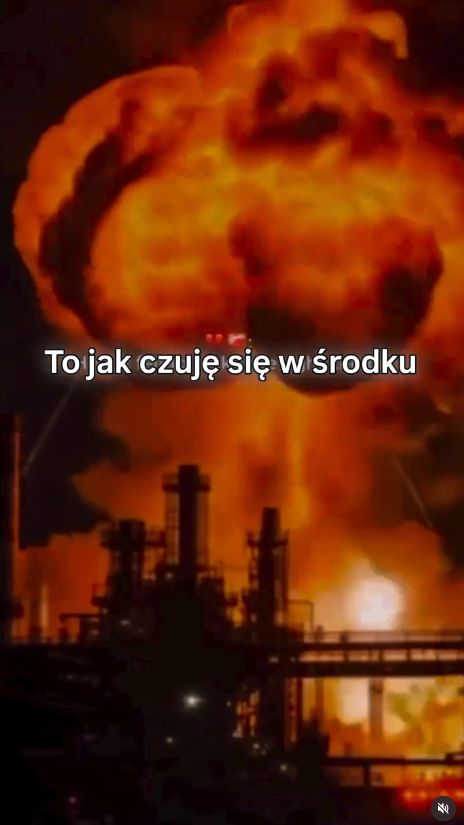 Pola Wiśniewska