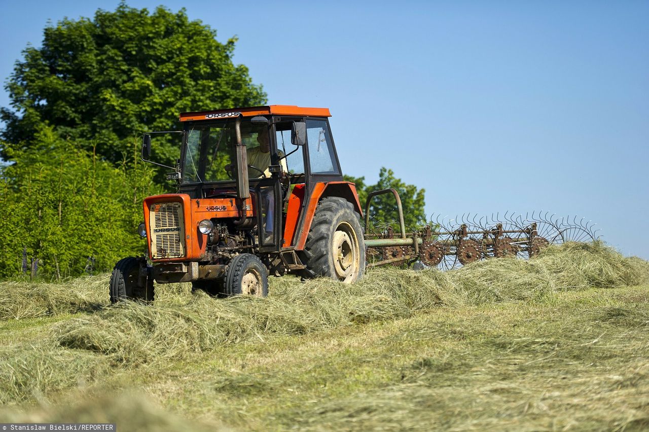 Rolnik nie ma dostępu do pola. Prowadzą na nim wykopaliska